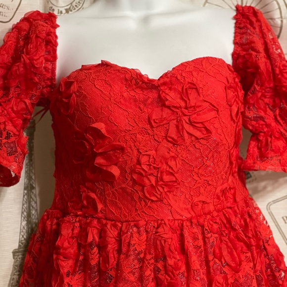 Red Lace Dress for Valentines or that special date - Picture 5 of 12